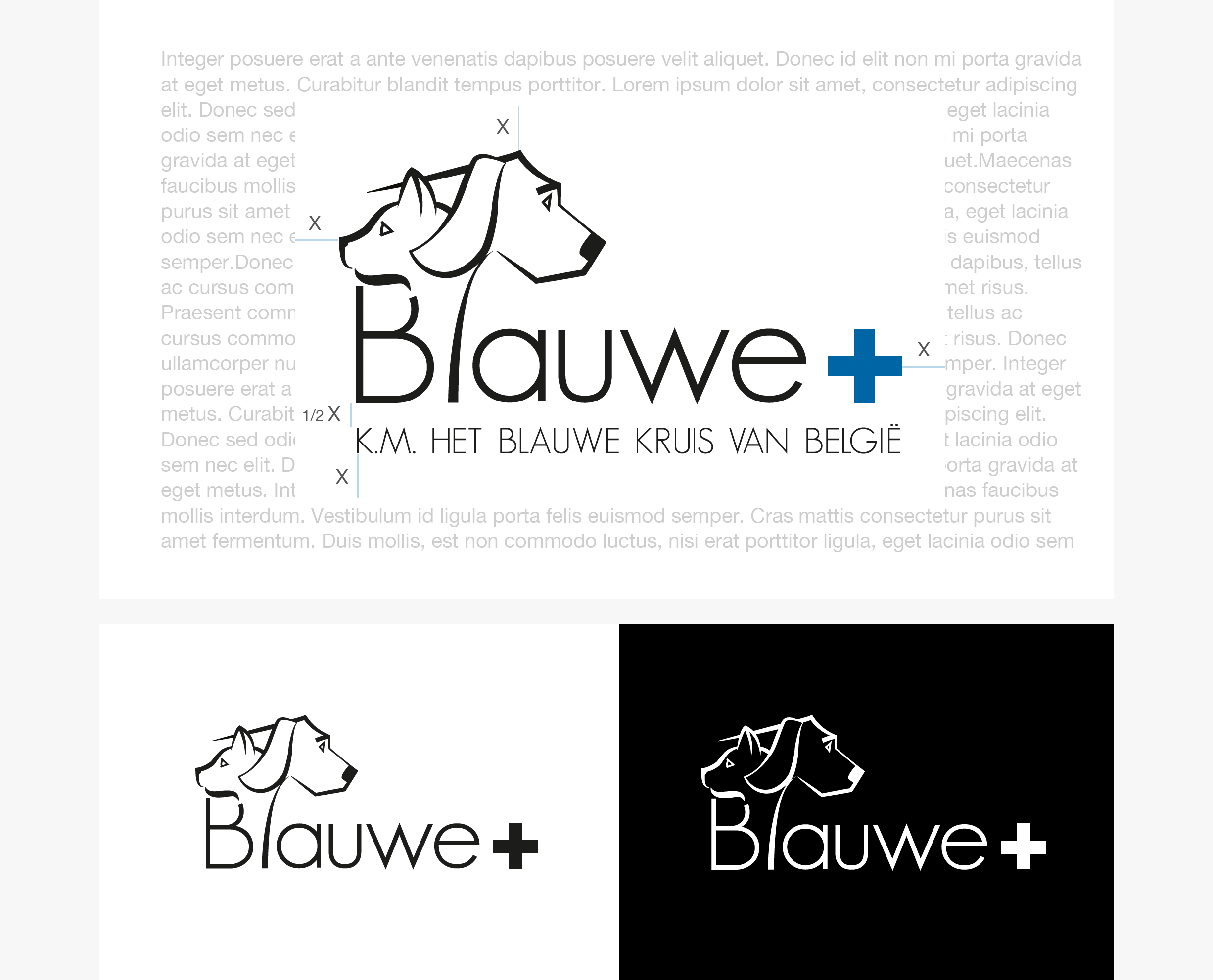 Branding Het Blauwe Kruis van België - logo construction - black & white